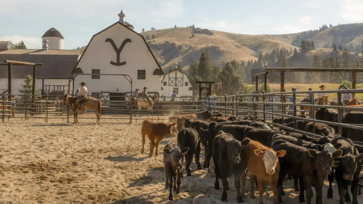 Yellowstone spinoff series, Yellowstone spinoffs 2026, Yellowstone universe expansion, new Yellowstone shows, Yellowstone franchise news, Paramount Network drama, modern western TV series, Yellowstone TV updates